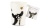 MON0468-R32-white-dogs_dreams of wings  (1)